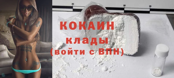 гидра Абаза