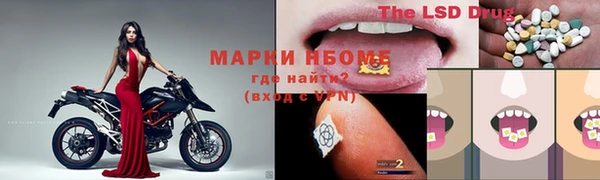 ПСИЛОЦИБИНОВЫЕ ГРИБЫ Алзамай