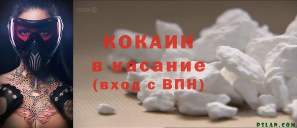 гидра Абаза