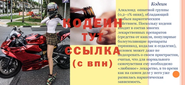 гидра Абаза