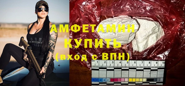 гидра Абаза