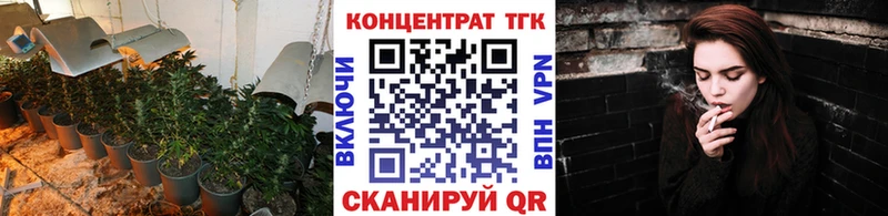 где продают наркотики kraken маркетплейс ТГК гашишное масло Питкяранта