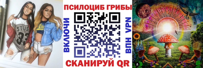 Псилоцибиновые грибы мухоморы  продажа наркотиков  Питкяранта 
